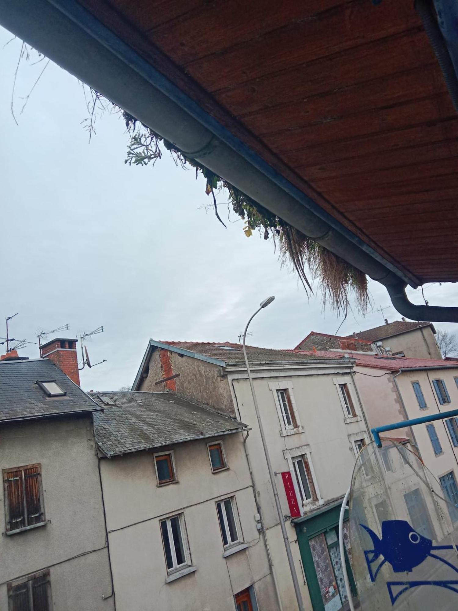 Готель La Coquille D'Or Aixe-sur-Vienne Екстер'єр фото